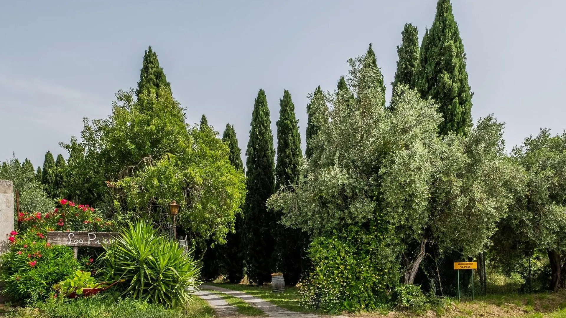 La Pieve - Gerani Villa Pereta Farm stay